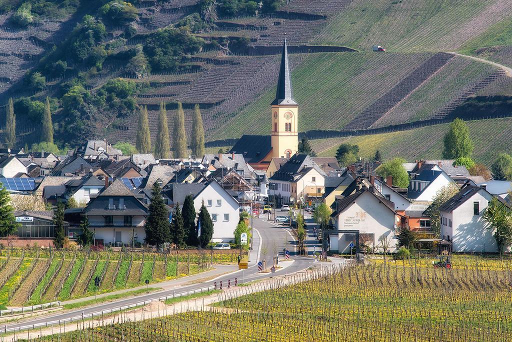 Weingut & Gaestehaus Edwin Hoffmann Trittenheim Exterior foto