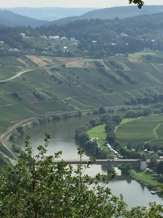 Weingut & Gaestehaus Edwin Hoffmann Trittenheim Exterior foto